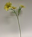 Yellow cosmos silk flower | Length 65 centimetres | Ordered by piece