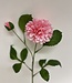 Pink dahlia silk flower | Length 60 centimetres | Ordered by piece