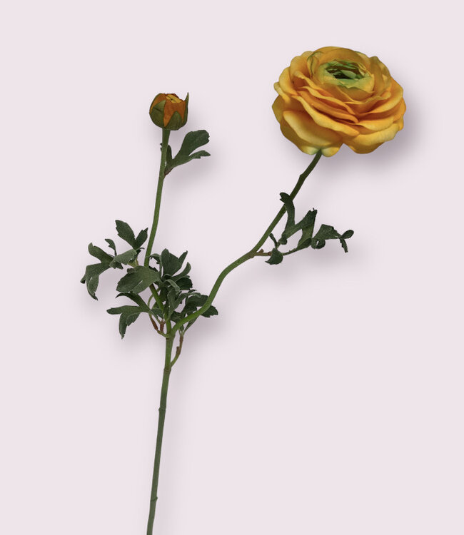 Yellow ranunculus silk flower | Length 82 centimetres | Ordered by piece