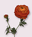 Orange ranunculus silk flower | Length 82 centimetres | Ordered by piece