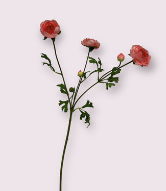 Silk Flowers by JJ Pink ranunculus silk flower | Length 65 centimetres | Per piece