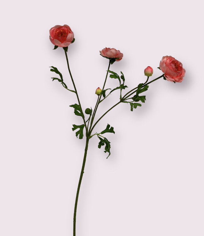 Pink ranunculus silk flower | Length 65 centimetres | Ordered by piece