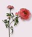 Pink ranunculus silk flower | Length 65 centimetres | Ordered by piece