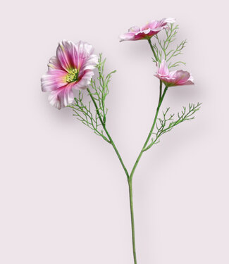 Silk Flowers by JJ Pink cosmos silk flower | Length 65 centimetres | Per piece