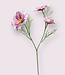 Pink cosmos silk flower | Length 65 centimetres | Ordered by piece