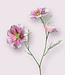 Pink cosmos silk flower | Length 65 centimetres | Ordered by piece