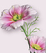 Pink cosmos silk flower | Length 65 centimetres | Ordered by piece