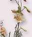 Salmon-coloured delphinium silk flower | Length 100 centimetres | Ordered by piece