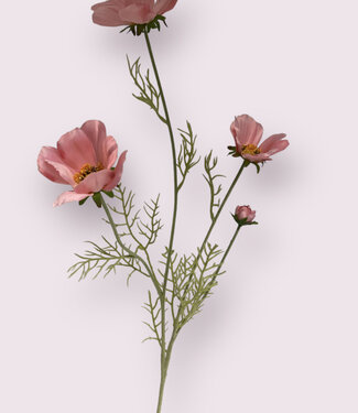 Silk Flowers by JJ Pink cosmos silk flower | Length 95 centimetres | Per piece