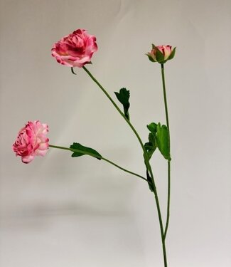 Silk Flowers by JJ Pink ranunculus silk flower | Length 60 centimetres | Per piece