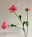 Pink ranunculus silk flower | Length 60 centimetres | Ordered by piece