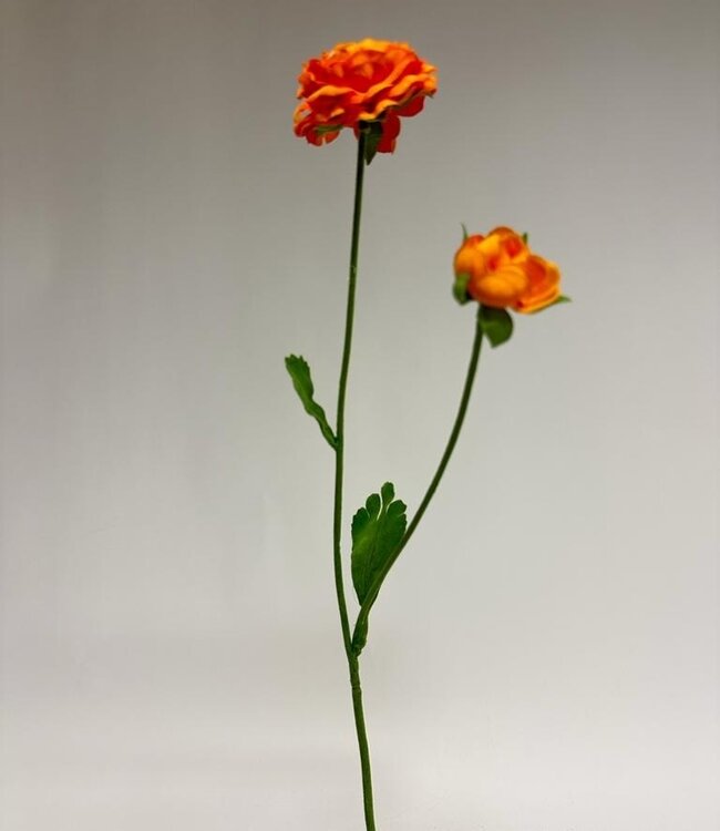 Orange ranunculus silk flower | Length 54 centimetres | Order 2 pieces