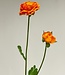 Orange ranunculus silk flower | Length 54 centimetres | Order 2 pieces