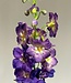 Purple delphinium silk flower | Length 128 centimetres | Ordered by piece