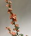 Light pink delphinium silk flower | Length 86 centimetres | Ordered by piece