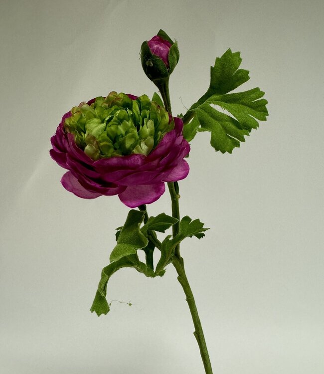 Purple ranunculus silk flower | Length 45 centimetres | Ordered by piece