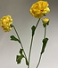 Yellow ranunculus silk flower | Length 65 centimetres | Order 3 pieces