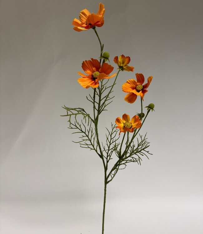 Orange cosmos silk flower | Length 72 centimetres | Ordered by piece