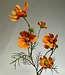 Orange cosmos silk flower | Length 72 centimetres | Ordered by piece