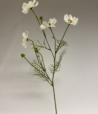 Silk Flowers by JJ White cosmos silk flower | Length 72 centimetres | Per piece