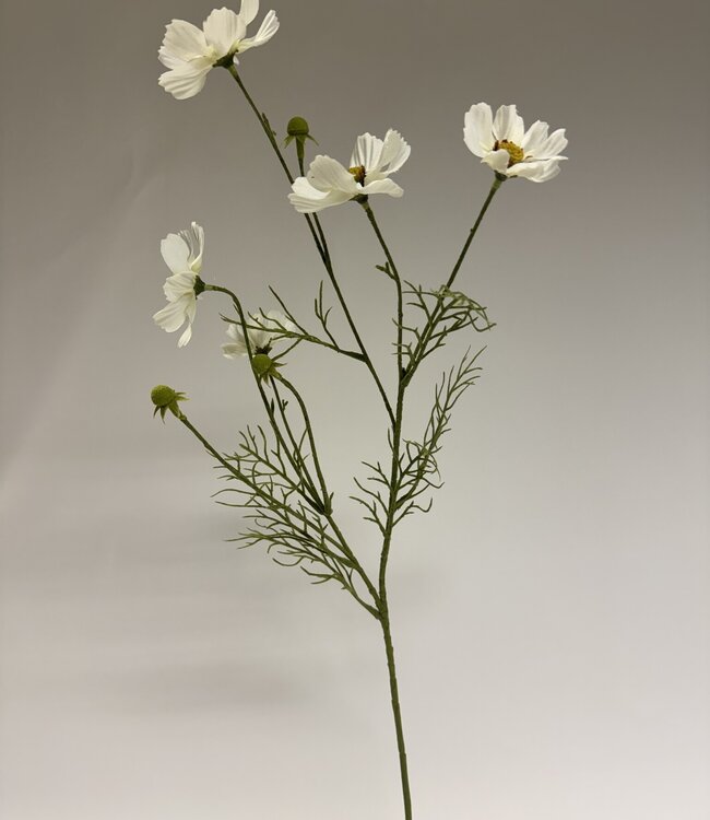 White cosmos silk flower | Length 72 centimetres | Ordered by piece