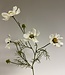 White cosmos silk flower | Length 72 centimetres | Ordered by piece