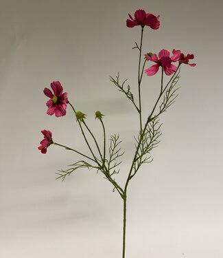 Silk Flowers by JJ Fuchsia-coloured cosmos silk flower | Length 72 centimetres | Per piece