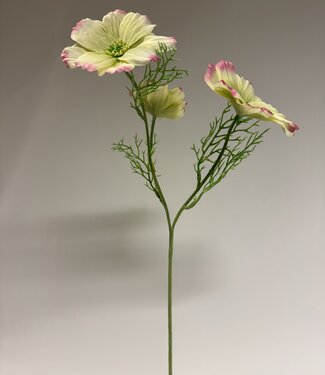 Silk Flowers by JJ Yellow-pink cosmos silk flower | Length 65 centimetres | Per piece