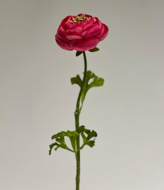 Silk Flowers by JJ Pink ranunculus silk flower | Length 48 centimetres | Per piece