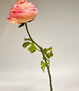 Silk Flowers by JJ Light pink ranunculus silk flower | Length 48 centimetres | Per piece