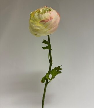 Silk Flowers by JJ White cream coloured ranunculus silk flower | Length 48 centimetres | Per piece