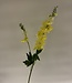 Yellow delphinium silk flower | Length 86 centimetres | Ordered by piece