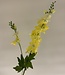 Yellow delphinium silk flower | Length 86 centimetres | Ordered by piece