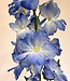 Blue delphinium silk flower | Length 128 centimetres | Ordered by piece