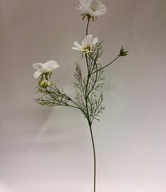 Silk Flowers by JJ White cosmos silk flower | Length 90 centimetres | Per piece