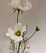 White cosmos silk flower | Length 90 centimetres | Ordered by piece