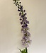 Lilac-coloured delphinium silk flower | Length 130 centimetres | Ordered by piece