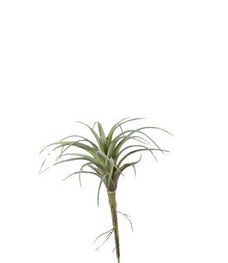 4A Kunstplanten Tillandsia 22cm ( x 6 )