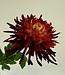 Red dahlia silk flower | Length 54 centimetres | Ordered by piece