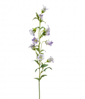 4A Kunstbloemen Campanula 88cm ( x 6 )