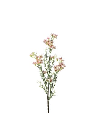 4A Kunstbloemen Wax flower 67cm ( x 4 )