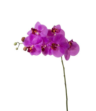 4A Kunstbloemen Phalaenopsis 68cm ( x 6 )