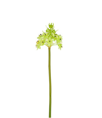 4A Kunstbloemen Ornithogalum 81cm ( x 6 )