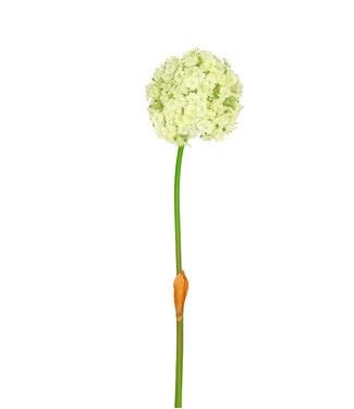 4A Kunstbloemen Allium 82cm ( x 4 )