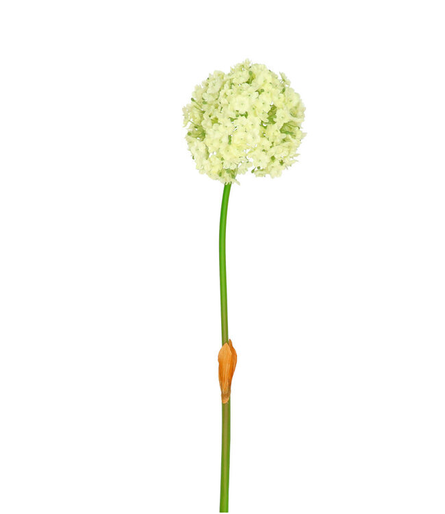 Kunstbloemen Allium 82cm ( x 4 )