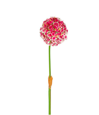 4A Kunstbloemen Allium 82cm ( x 4 )