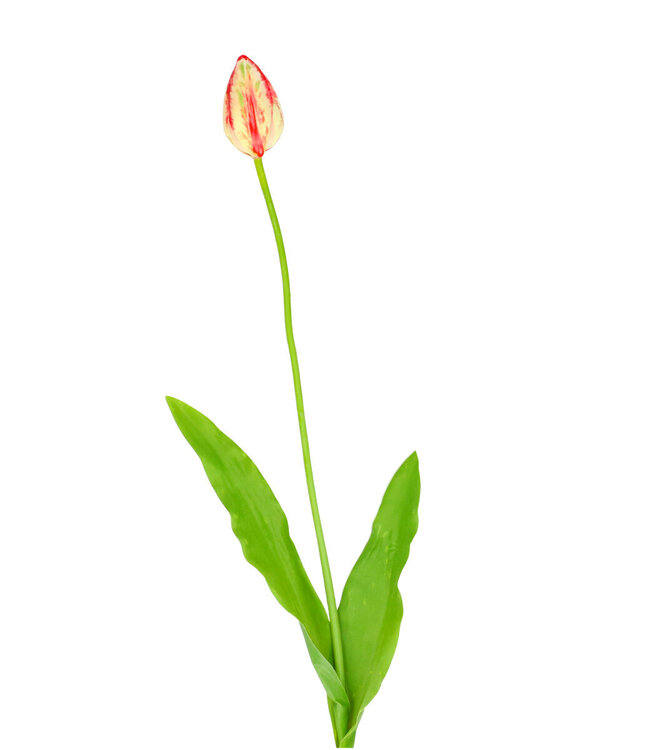 Kunstbloemen Tulp 66cm ( x 4 )