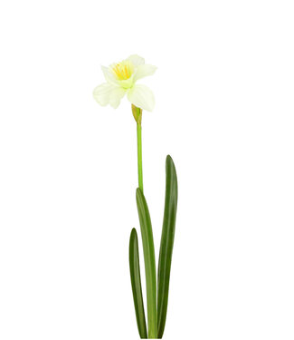 4A Kunstbloemen Narcis 57cm ( x 4 )