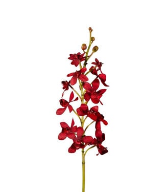 4A Kunstbloemen Orchid Vanda 70cm ( x 4 )