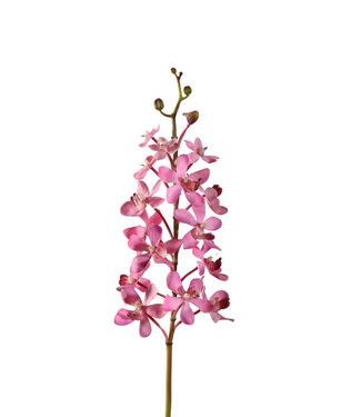 4A Kunstbloemen Orchid Vanda 70cm ( x 4 )